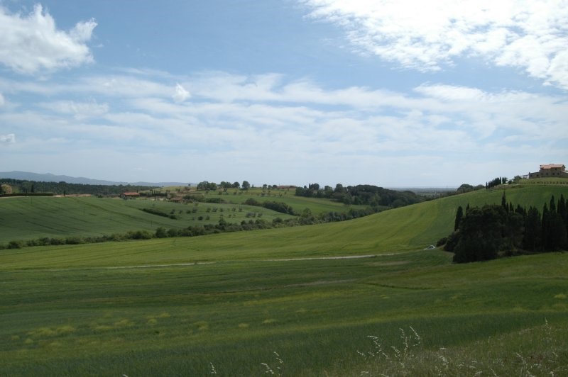 BIBBONA CAMPAGNA